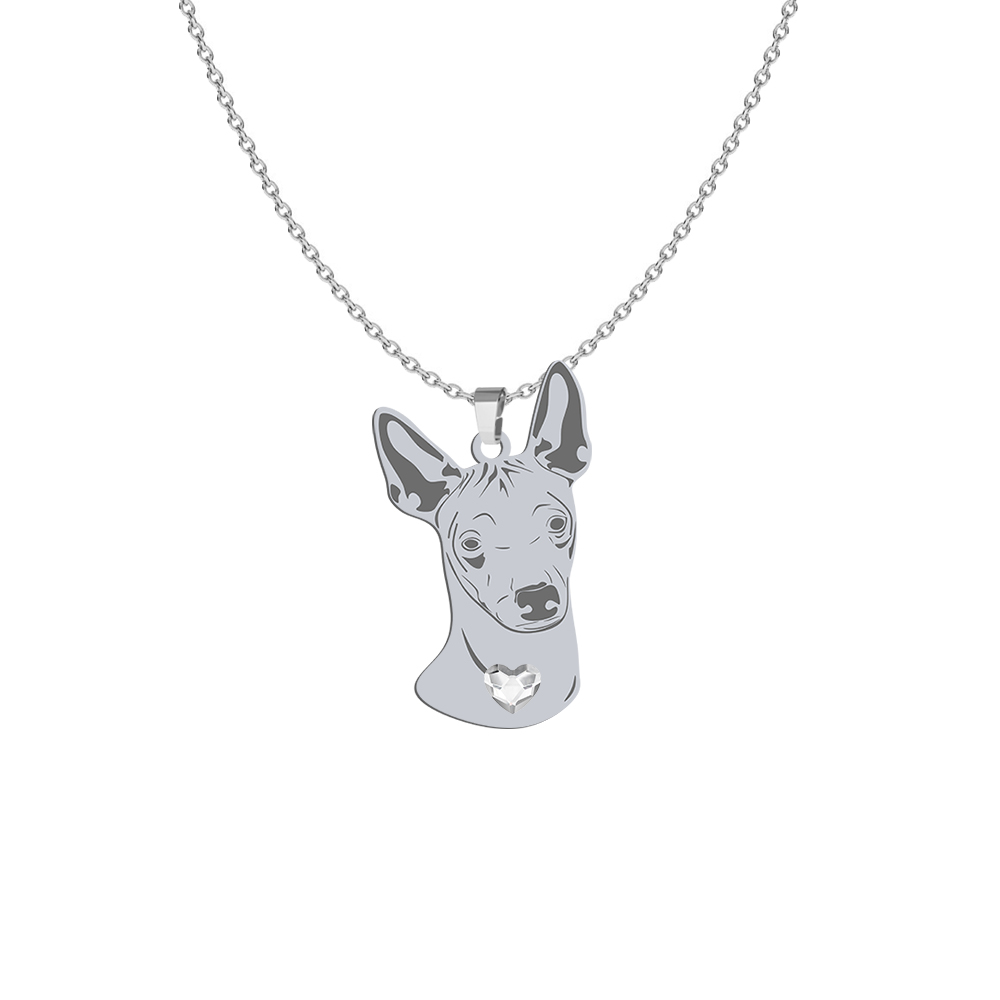 Silver Mexican Hairless Dog necklace with a heart FREE ENGRAVING - MEJK Jewellery