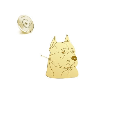Wpinka Pozłacana z American Staffordshire Terrier - MEJK Jewellery