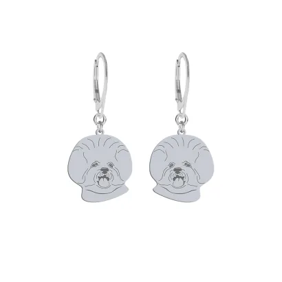 Silver Bichon Frise egraved earrings - MEJK Jewellery