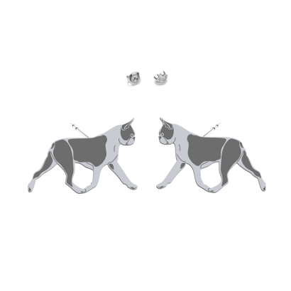 Silver Boston Terrier earrings - MEJK Jewellery