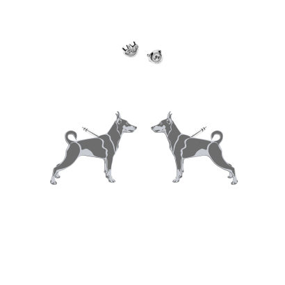 Silver Miniature Pinscher earrings - MEJK Jewellery