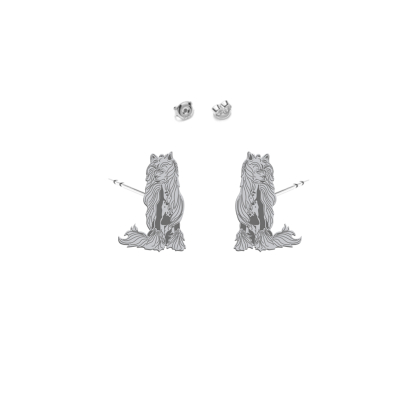 Silver Hairless Chinese Crested earrings - MEJK Jewellery