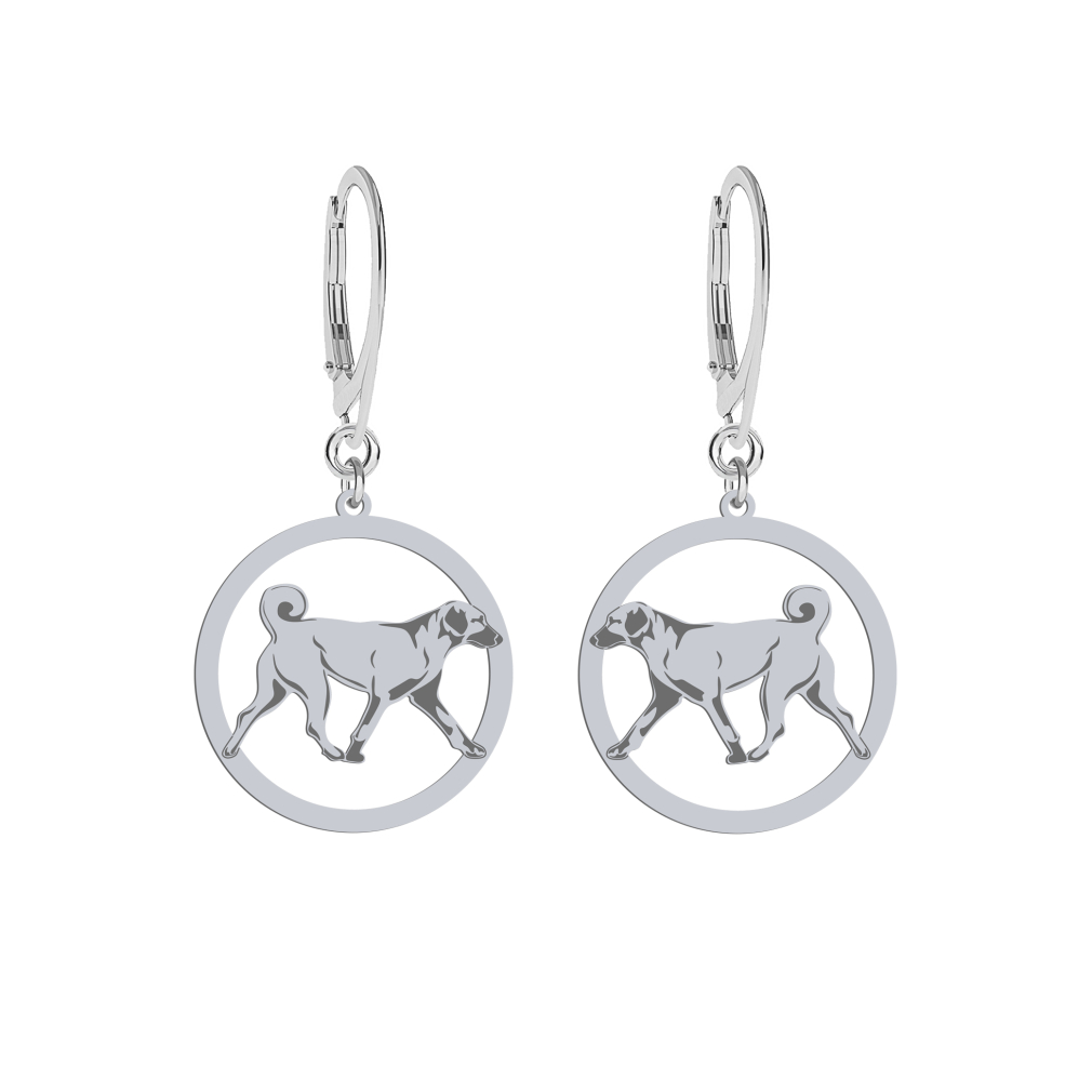 Kolczyki z psem Kangal srebro GRAWER GRATIS - MEJK Jewellery