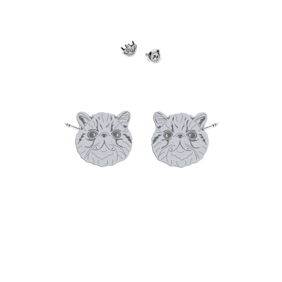 Silver Exotic Shorthair Cat earrings - MEJK Jewellery