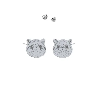 Silver Exotic Shorthair Cat earrings - MEJK Jewellery