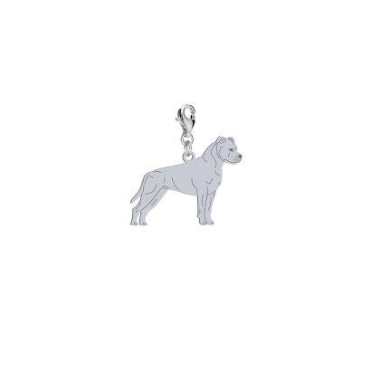 Charms z psem grawerem American Staffordshire Terrier - Amstaff srebro - MEJK Jewellery