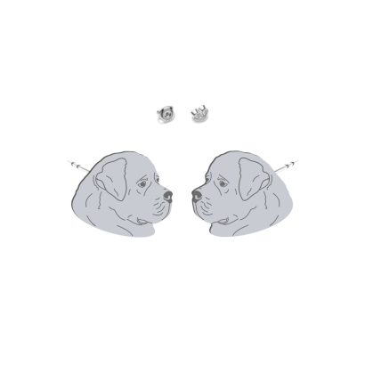 Silver Newfoundland earrings - MEJK Jewellery