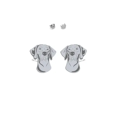 Silver Vizsla Dog earrings - MEJK Jewellery