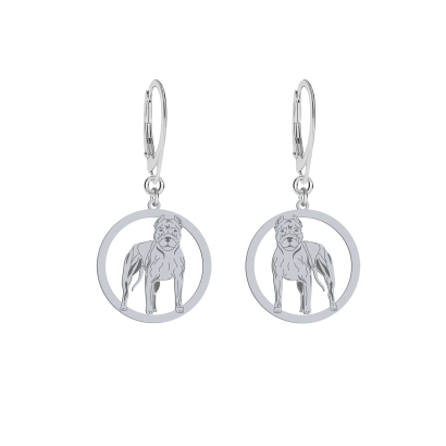 Silver American Pitbull Terrier engraved earrings - MEJK Jewellery