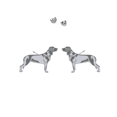 Silver Bavarian Mountain Hound earrings - MEJK Jewellery