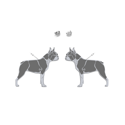 Kolczyki z psem Boston Terrier srebro - MEJK Jewellery