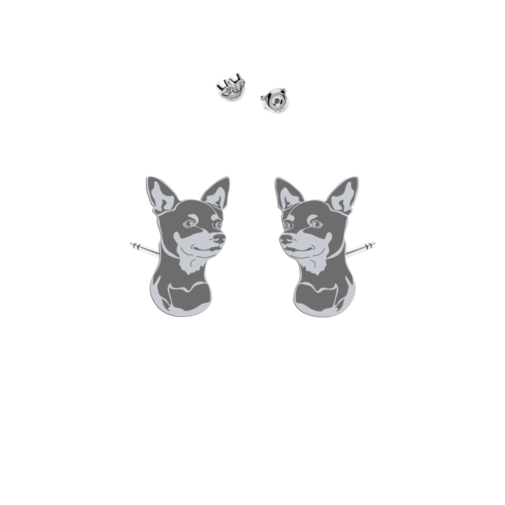 Silver Prager Rattler earrings - MEJK Jewellery