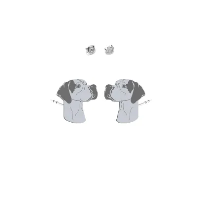 Silver Pointer earrings - MEJK Jewellery