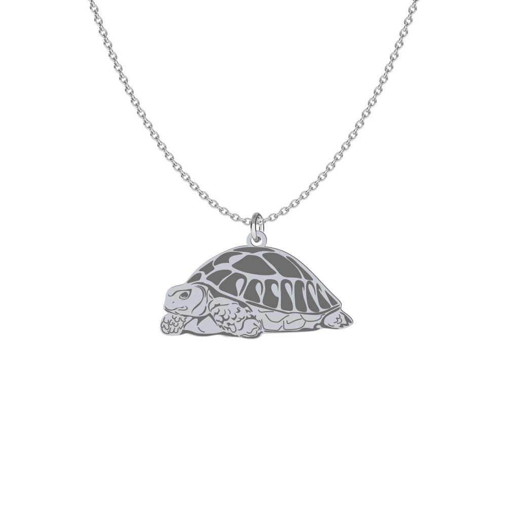 Naszyjnik Srebrny z Żółwiem - MEJK Jewellery