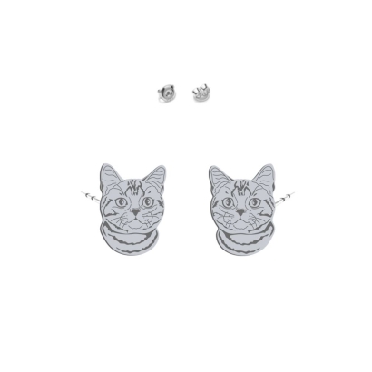 Kolczyki wkrętki Kot Amerykański Krótkowłosy srebro 925 - MEJK Jewellery