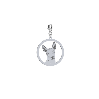 Silver Mexican Hairless Dog charms FREE ENGRAVING - MEJK Jewellery