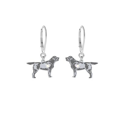 Kolczyki z psem Labrador Retriever srebro GRAWER GRATIS - MEJK Jewellery