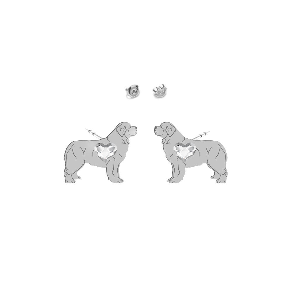 Silver Newfoundland earrings - MEJK Jewellery