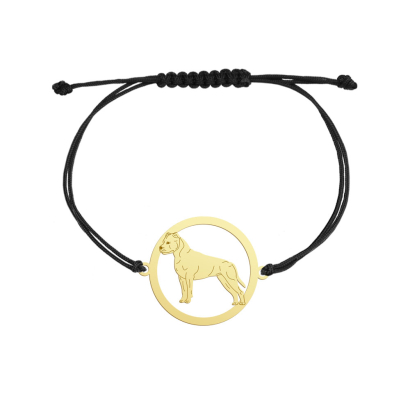 Bransoletka Pozłacana z psem rasy Amstaff American Staffordshire Terrier sznurek GRAWER GRATIS - MEJK Jewellery