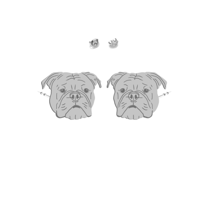 Silver Continental Bulldog earrings - MEJK Jewellery