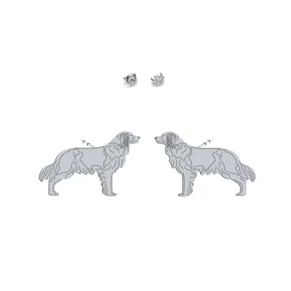 Silver Kooikerhondje earrings - MEJK Jewellery