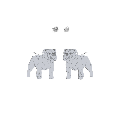Kolczyki Bulldog Angielski srebro  pozłacane  - MEJK Jewellery