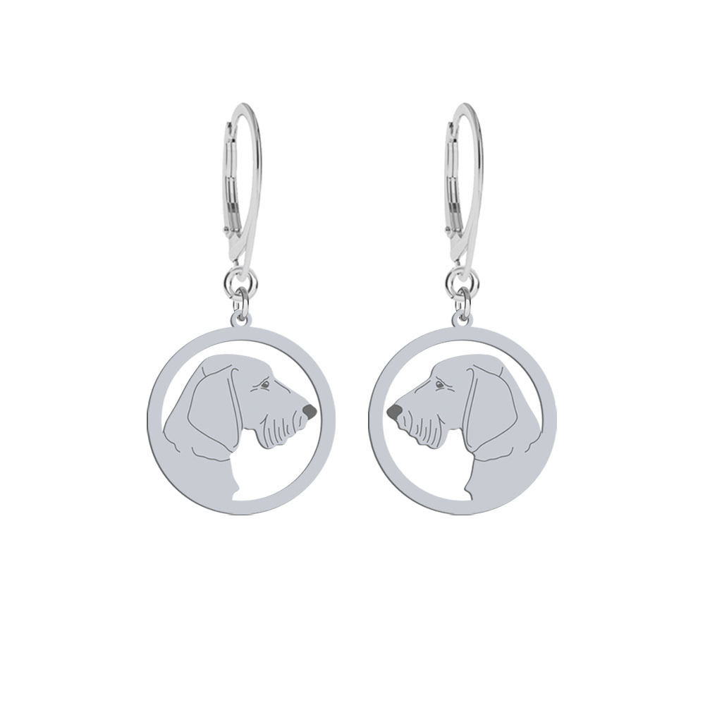Silver Wirehaired dachshund earrings, FREE ENGRAVING - MEJK Jewellery