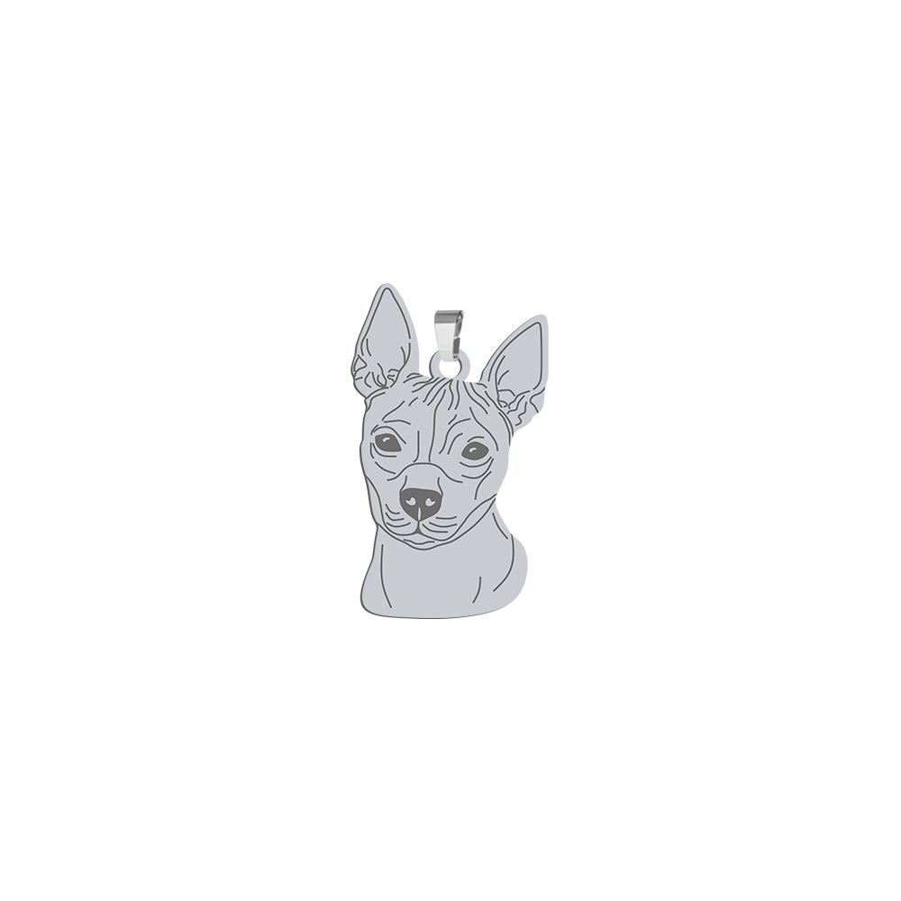 Zawieszka z rasą American Hairless Terrier srebro GRAWER GRATIS - MEJK Jewellery