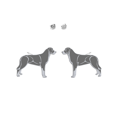 Silver Greater Swiss Mountian Dog earrings - MEJK Jewellery