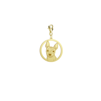 Charms Srebro Pozłacane American Hairless Terrier - MEJK Jewellery