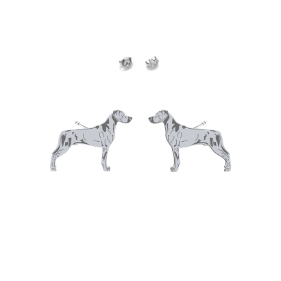 Kolczyki z psem Rhodesian Ridgeback srebro - MEJK Jewellery