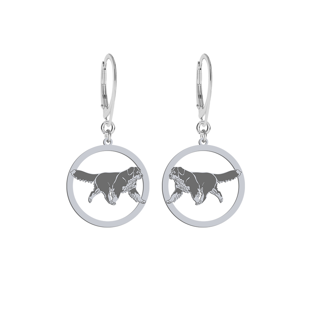 Silver Bernese Mountain Dog earrings - MEJK Jewellery