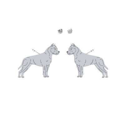 Silver American Staffordshire Terrier-Amstaff earrings - MEJK Jewellery