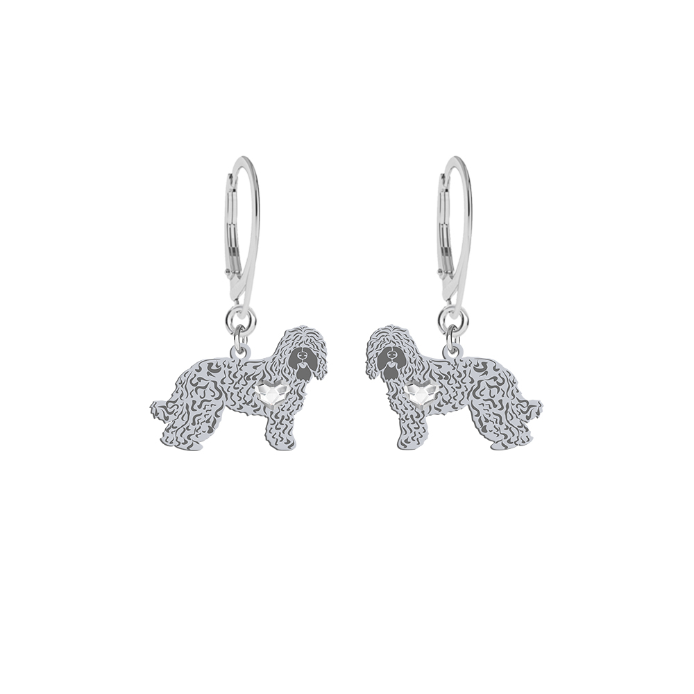 Silver Barbet earrings with a heart - MEJK Jewellery