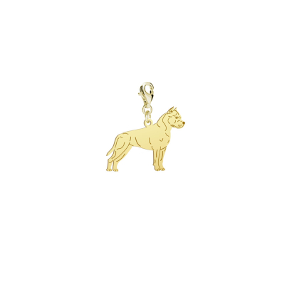 Charms Pozłacany z psem American Staffordshire Terrier - MEJK Jewellery