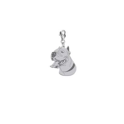 Charms Dog Argentyński biżuteria srebro platynowane pozłacane GRAWER GRATIS - MEJK Jewellery