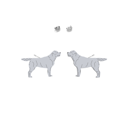 Kolczyki z psem Labrador Retriever srebro - MEJK Jewellery