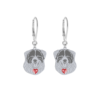 Silver Tornjak engraved earrings - MEJK Jewellery