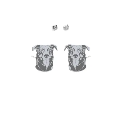 Silver Beauceron earrings - MEJK Jewellery