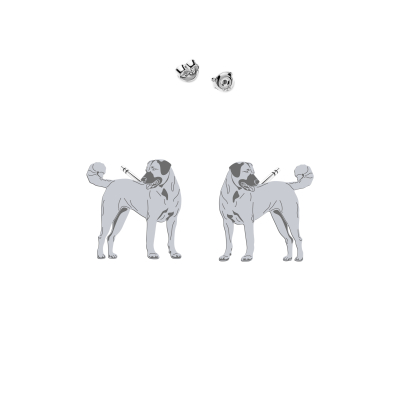 Silver Kangal earrings - MEJK Jewelery