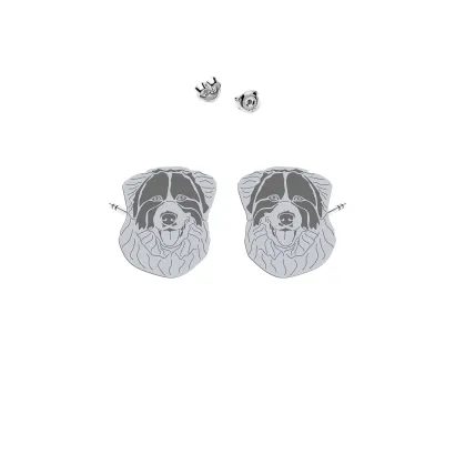 Silver Tornjak earrings - MEJK Jewellery
