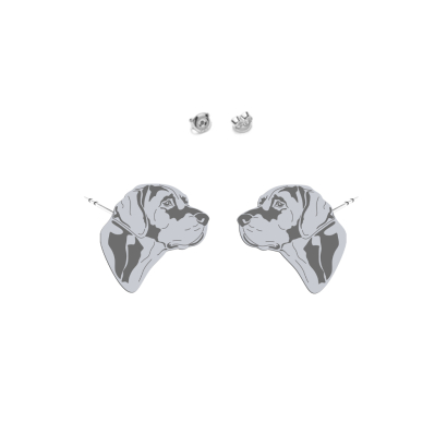 Kolczyki Louisiana Catahoula biżuteria srebro  pozłacane - MEJK Jewellery