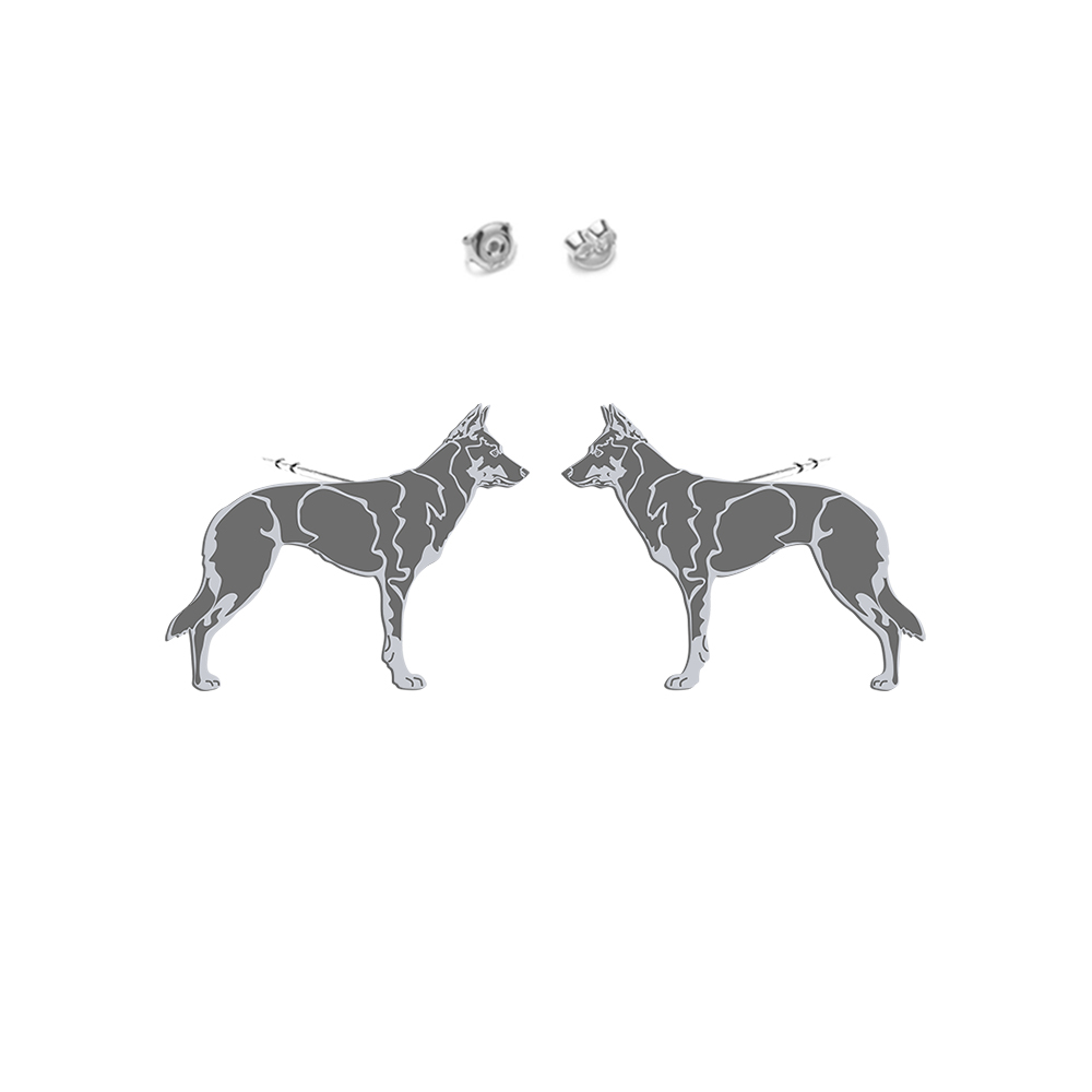 Silver Australian Kelpie earrings - MEJK Jewellery