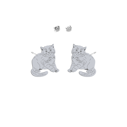 Silver British Shorthair Cat earrings, FREE ENGRAVING - MEJK Jewellery