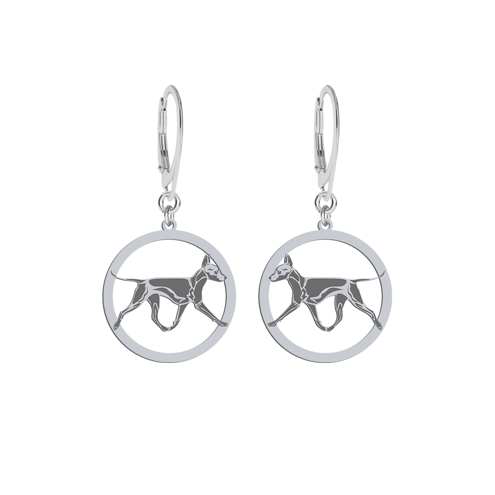 Silver Xolo earrings FREE ENGRAVING - MEJK Jewellery