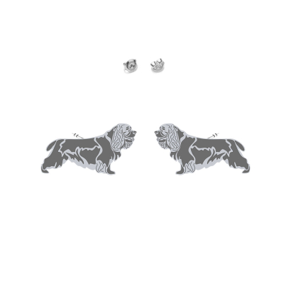 Kolczyki z psem Sussex Spaniel srebro - MEJK Jewellery
