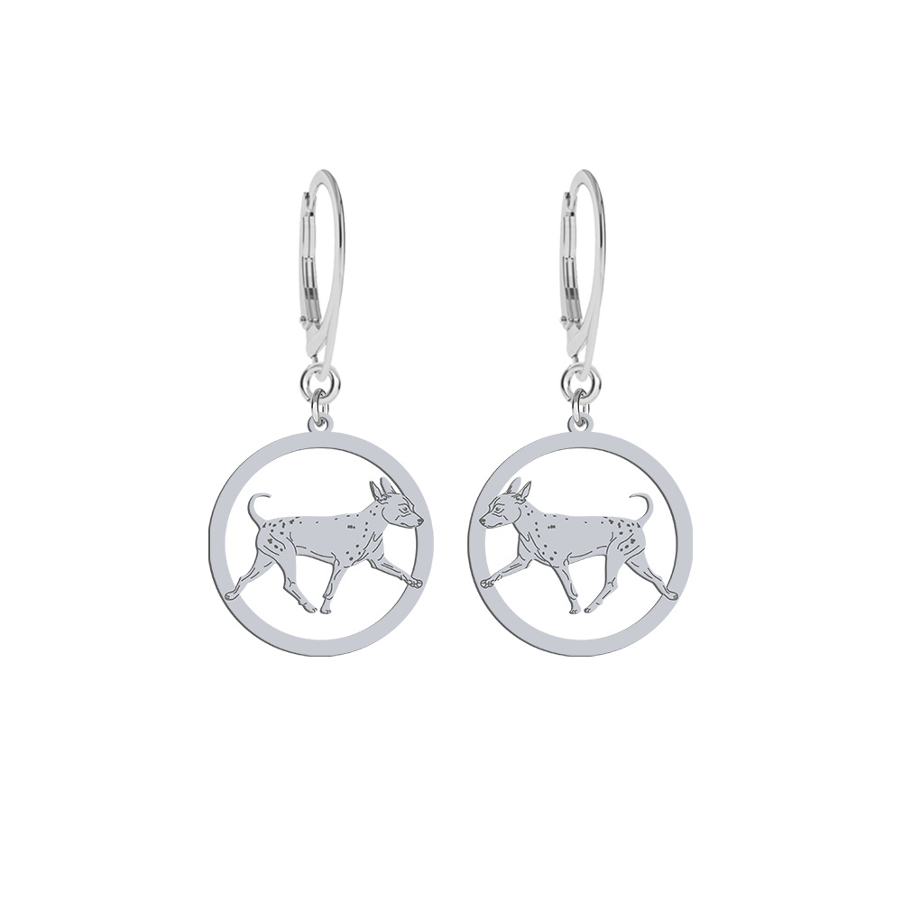 Silver American Hairless Terrier engraved earrings - MEJK Jewelery