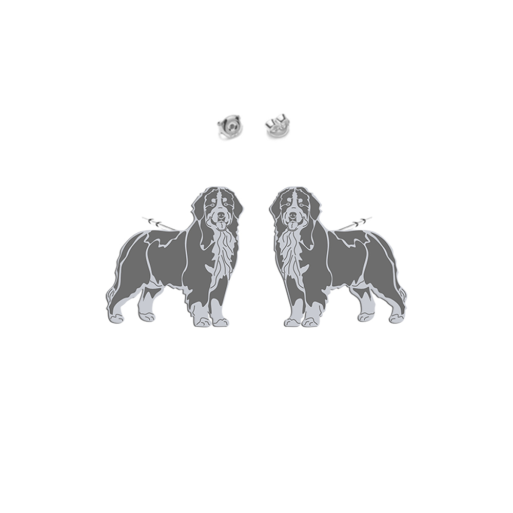 Kolczyki z psem Bernese Mountain Dog srebro - MEJK Jewellery