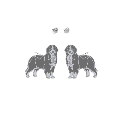 Kolczyki z psem Bernese Mountain Dog srebro - MEJK Jewellery