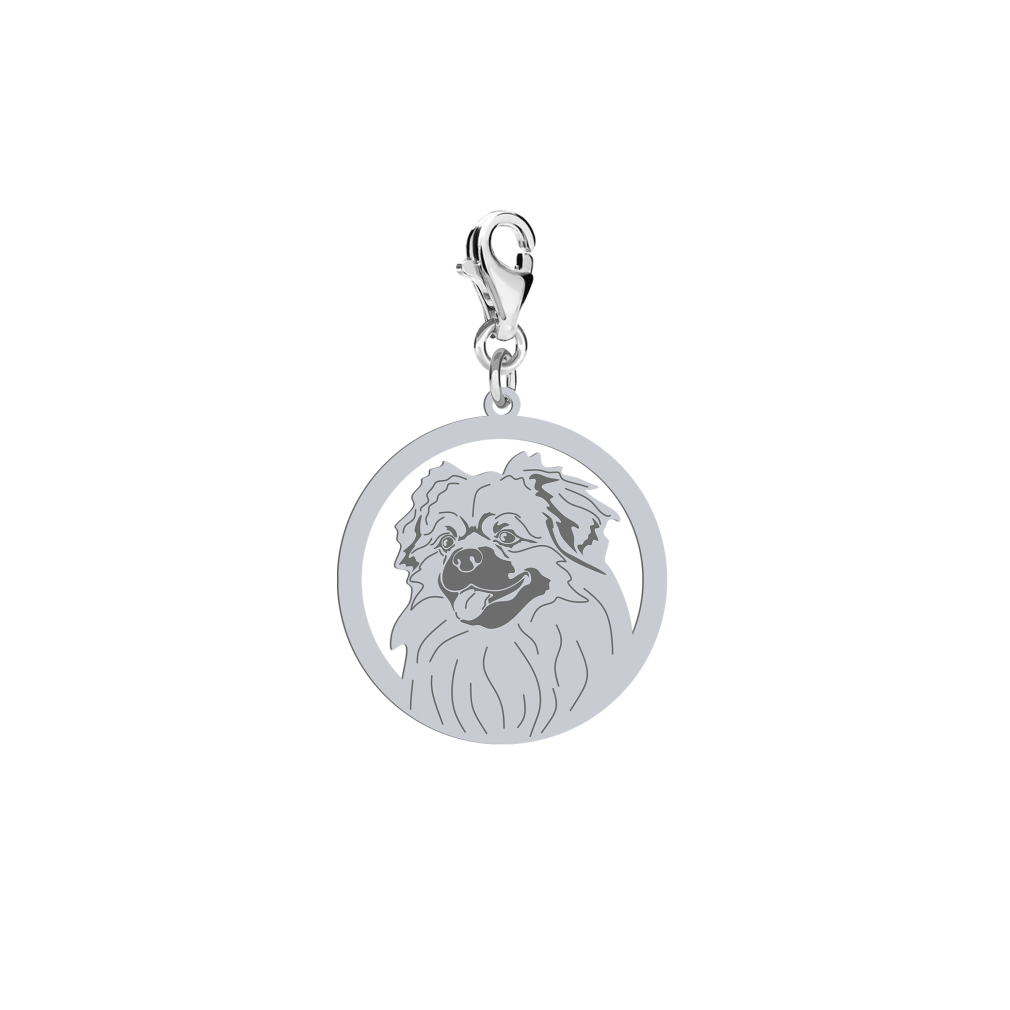 Charms z psem grawer Tibetan Spaniel srebro - MEJK Jewellery